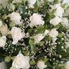 zulya__012
