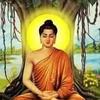 buddhimaya993