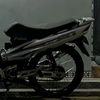 fzrslfr_