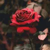 khadiucrtaz