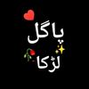 pagal.larka.6