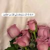 fhutjtus5us5su5s4us5usi