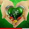 user4268016961581