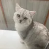 fttxxh