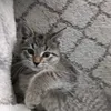 pissofffyooo