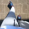 ghuryzj973