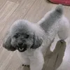 ongthhng6