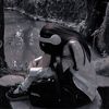why_am_i_still_here22