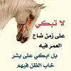 user2528883673956