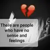 bigbossboss015