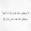 ghazzal_masr