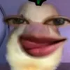 katemalaiba5