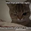 dinhtriet16dzai