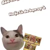 supcat404