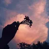 trtnghphv102
