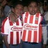 el_tortas._