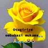 user6193501697629