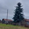 natalzruw83