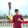 bong.nha074