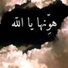 user2729871388409