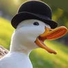kwaakstra.de.derde