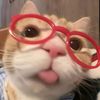ayangmu._7