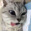 whos.this__4