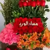 user7542111805984