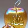 muhibullah0121