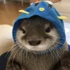 thichngunuong00