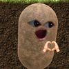 sshifaa_a
