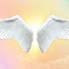 angel111111116