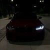 _alon_597