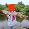 tode_bzbg0