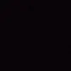 davizzin_7