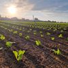 etzaagriculture