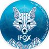 white_fox_agency_nordics