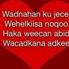 qanciye.yare58