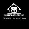 SHARIF DOGS RESCUE CENTRE