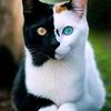 name1111nature