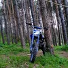 kalchev_245678
