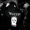 wyz__gui