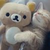 sophivsp927jyh