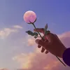 shahsister19