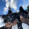 arlo.on.paws_stayfluffy