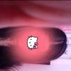 cam66041