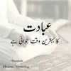 user3442981916919