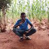 faxuma468
