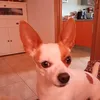 josemanuelrodrgue989