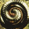 nineinchednails